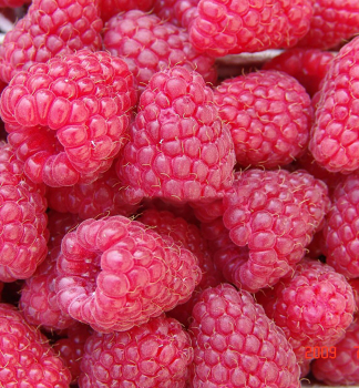 Obr�zok (3)